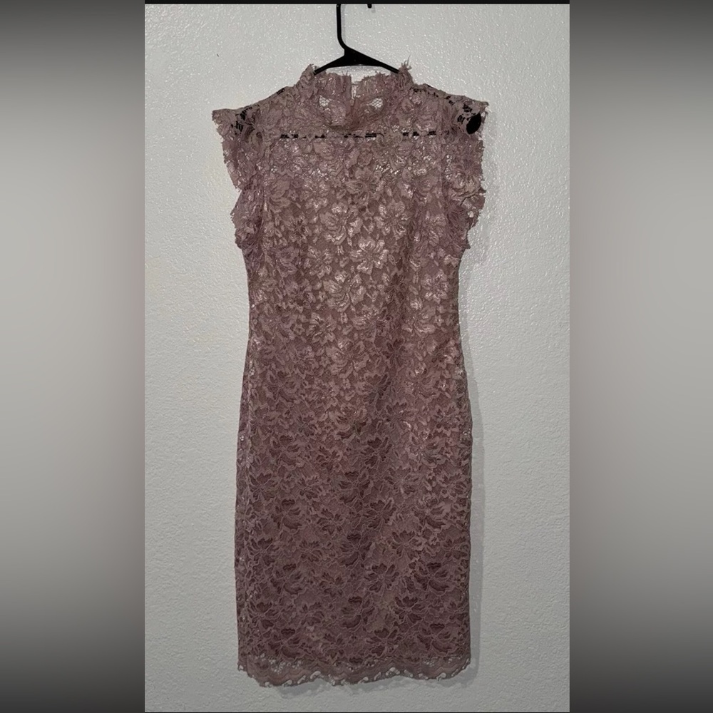 Enfocus Studio Light Pink Lined Lace Dress 6 Chinese Style Knee Length High Nec
